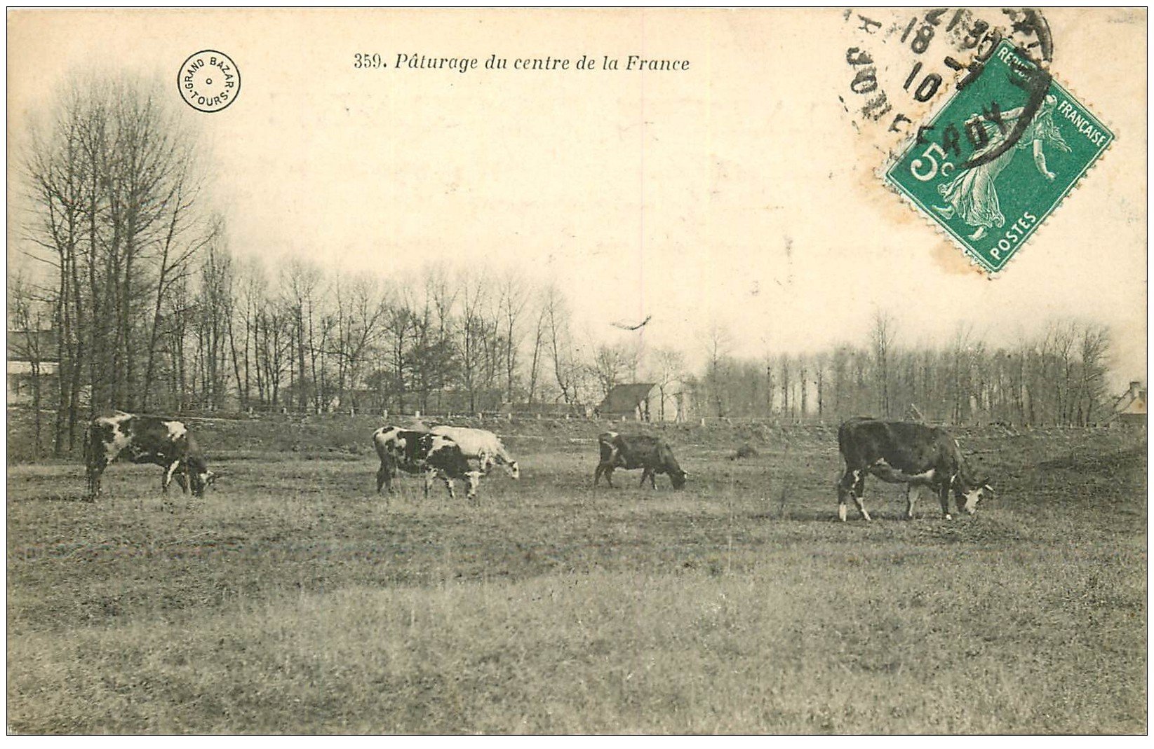 23 La Creuse Vaches Au Pâturage Centre De La France 1910