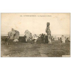 56 SAINT-PIERRE-QUIBERON. Les Alignements du Moulin 1930. Paysans et Vaches. Dolmens et Menhirs