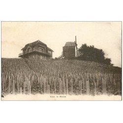 51 DANS LA MARNE. Vieux Moulin à vent et les Vignes