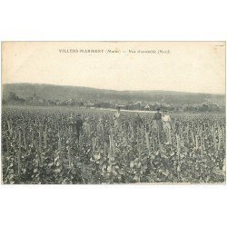 51 VILLERS MARMERY. Belle animation dans les Vignobles. Vins et Vignes 1918