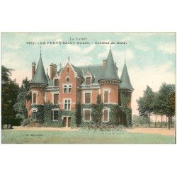 carte postale ancienne 45 LA FERTE-SAINT-AUBIN. Le Château du Ruth