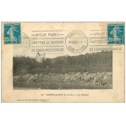 47 CASTELJALOUX. Le Plantey 1926. Pâtre et Moutons