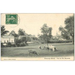 59 ETROEUNGT. Vue du Riz Bouvelet 1912 Troupeau de Moutons