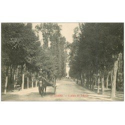 58 COSNE-SUR-LOIRE. Attelage Allée des Tilleuls 1913