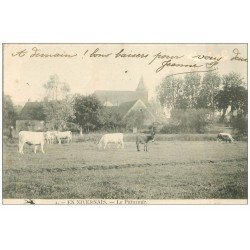 carte postale ancienne 58 EN NIVERNAIS. Le Pâturage Vaches et Ane 1903