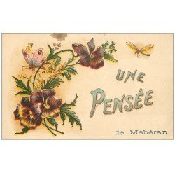 61 MEHERAN. Une Pensée avec Papillon et Libellule 1924