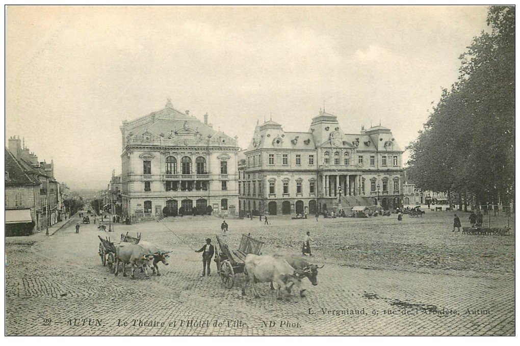 71 Autun Théâtre Et Hôtel De Ville Attelages Boeufs