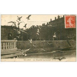 carte postale ancienne 69 LYON. Les Mouettes