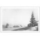 carte postale ancienne 74 SAINT-GERVAIS-LES-BAINS. Sapins sous la neige. Photo Maudamez