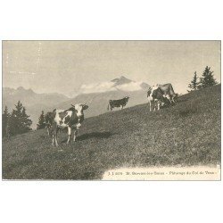 carte postale ancienne 74 SAINT-GERVAIS-LES-BAINS. Vaches Pâturage Col de Voza