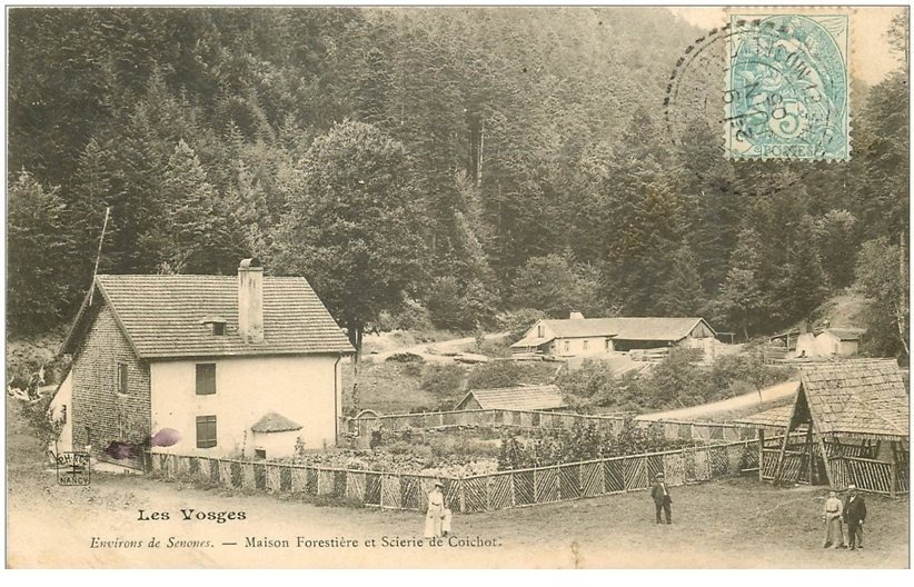 88 LES VOSGES. Maison Forestière Et Scierie De Coichot 1905. Petite ...