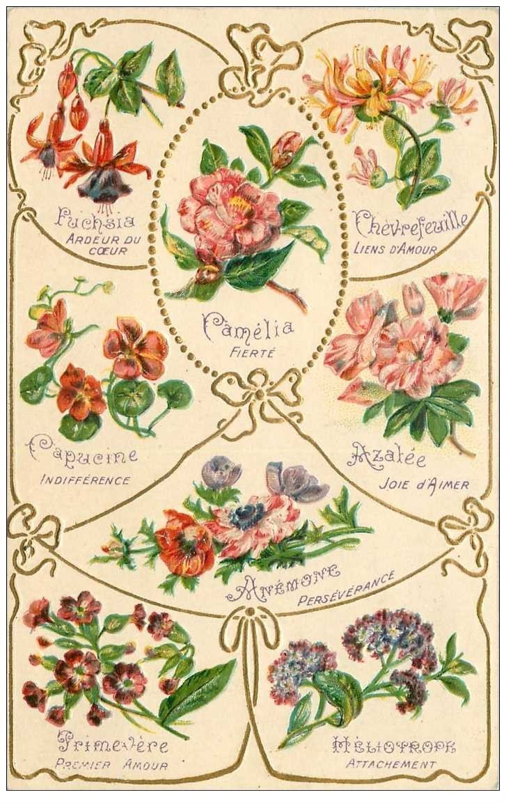 Fleurs Le Langage Des Fleurs Carte Gaufree 1908