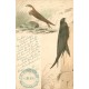 Lot 6 cpa étude sur les " OISEAUX " 1901