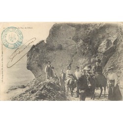 63 LE PUY DE DÔME. Ascension avec ânes et mules 1904
