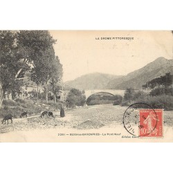 26 BUIS-LES-BARONNIES. Paysanne avec son troupeau de Chèvres vers le Pont Neuf 1910