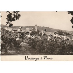 69 VENDANGES A FLEURIE 1956