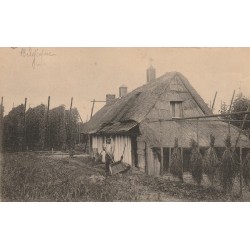 POPERINGE POPERINGHE. De Hopteelt, la Culture houblonnière, le séchage du houblon 1914