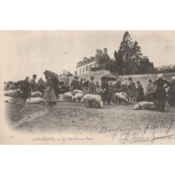 50 AVRANCHES. Le Marché aux Porcs 1904