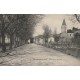 26 CHATILLON-SAINT-JEAN. Avenue des Platanes ou Saint-Paul 1908