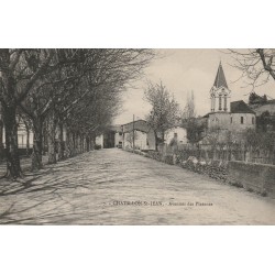 26 CHATILLON-SAINT-JEAN. Avenue des Platanes ou Saint-Paul 1908
