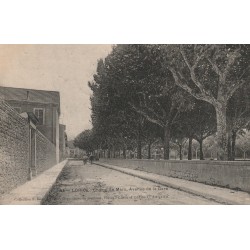 26 LORIOL. Cheval sur Champ de Mars avenue de la Gare 1906
