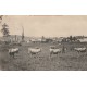 07 ALBOUSSIERE. Vue générale sur les Près avec vaches et paysan 1906