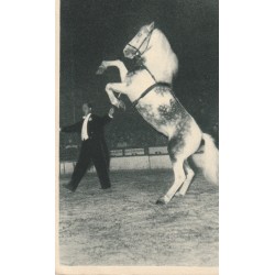 Spectacle CIRQUE "Oural" cheval cabreur présenté Gruss