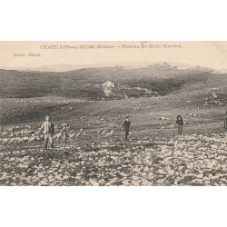 26 CHÂTILLON-EN-DIOIS. Bergers et moutons au Plateau du Mont Glandaz