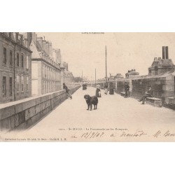 35 SAINT-MALO. Grand chien à la Promenade sur les Remparts 1902