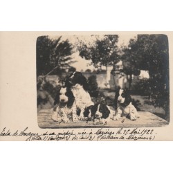 18 MAZIERES. Rare Photo cpa d'une portée de chiots avec leurs noms 1922