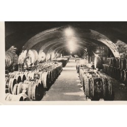 69 ODENAS. Domaine de la Chaize ses vins et sa Cave
