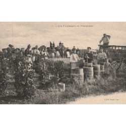89 Les Vendanges en Bourgogne. Vins raisins vignes et tonneaux