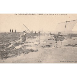 85 LES SABLES-D'OLONNE. La Pêche à la Crevette