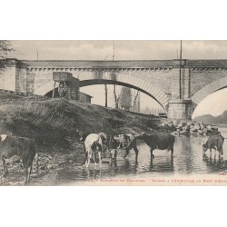 31 TOULOUSE. Vaches à l'Abreuvoir au Pont d'Empalot vers 1900