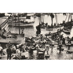 29 DOUARNENEZ. Retour des bateaux au Port de Pêche