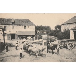 91 VILLIERS-LE-BÂCLE. Attelages de boeufs à l'intérieur de la Ferme