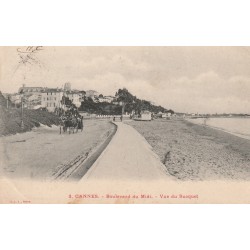 06 CANNES. Attelage boulevard du Midi vue du Sucquet 1904