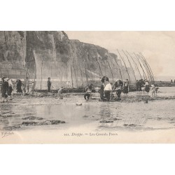 76 DIEPPE. Les Grands Parcs à Poissons