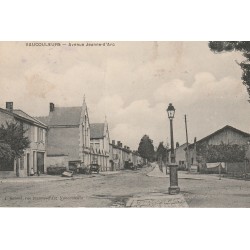 Superbe Lot 2 Cpa 55 VAUCOULEURS. Avenue Jeanne d'Arc et la Ville 1906