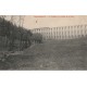 52 CHAUMONT. Vallée de la Suize et train sur le Viaduc 1906