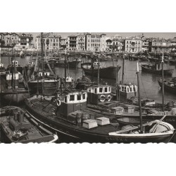 64 SAINT-JEAN-DE-LUZ. Bateaux de pêche dans le Port de Pêcheurs