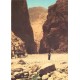 17 Photos cpsm grand format MAROC. Teinturiers, Chameurs serpents, Folklore, Talaa-Calle...