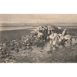 62 BERCK-PLAGE. La Pêche aux Moules 1912